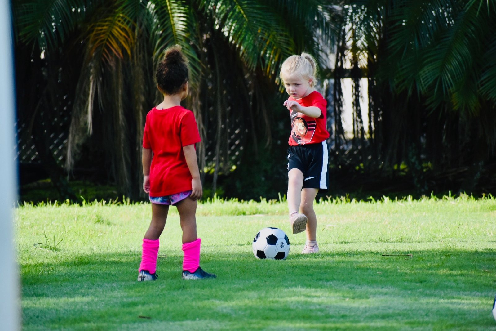 Children playing soccer